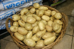 Potatoes